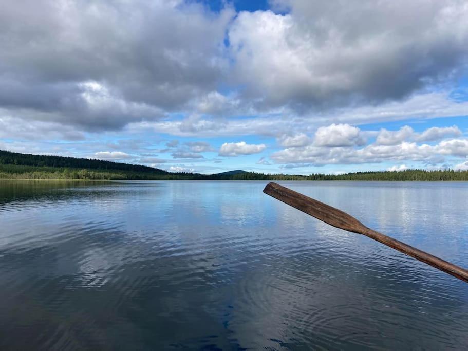 Lakeside Wilderness Cabin 요크모크 외부 사진