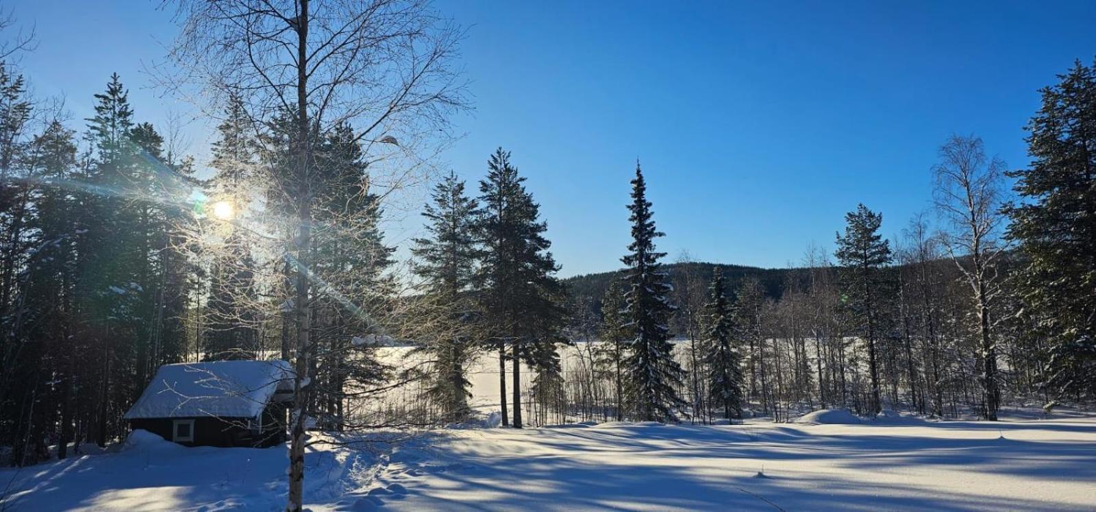 Lakeside Wilderness Cabin 요크모크 외부 사진