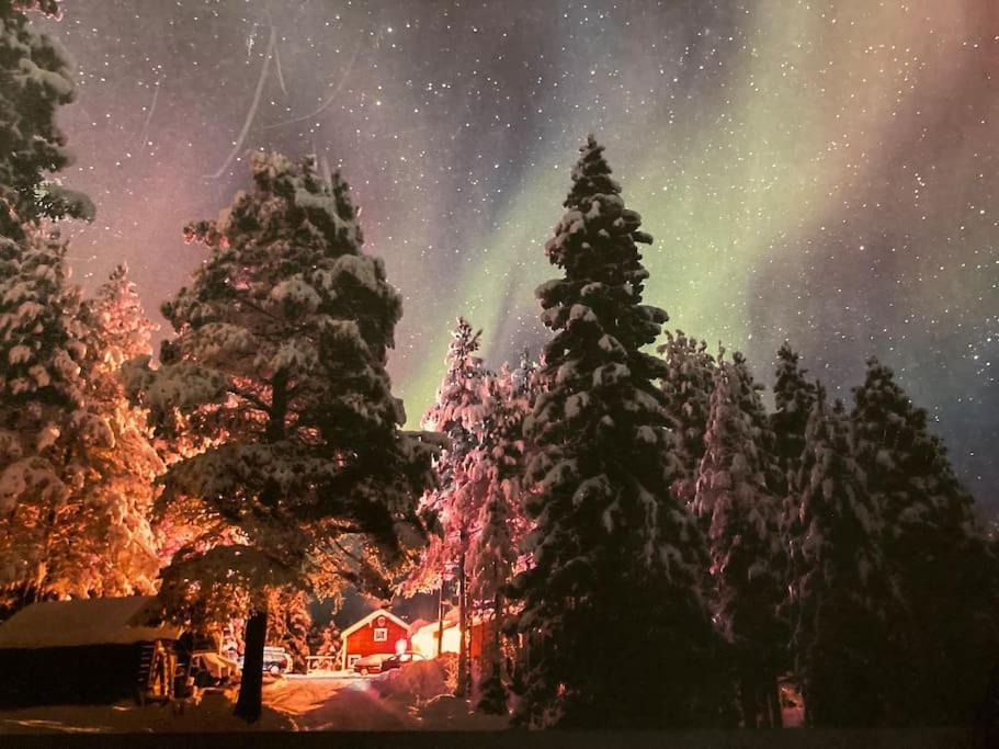 Lakeside Wilderness Cabin 요크모크 외부 사진