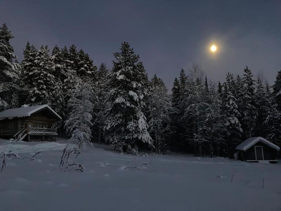 Lakeside Wilderness Cabin 요크모크 외부 사진