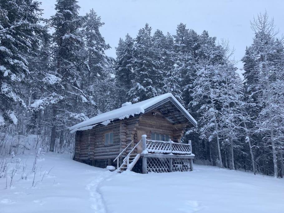 Lakeside Wilderness Cabin 요크모크 외부 사진