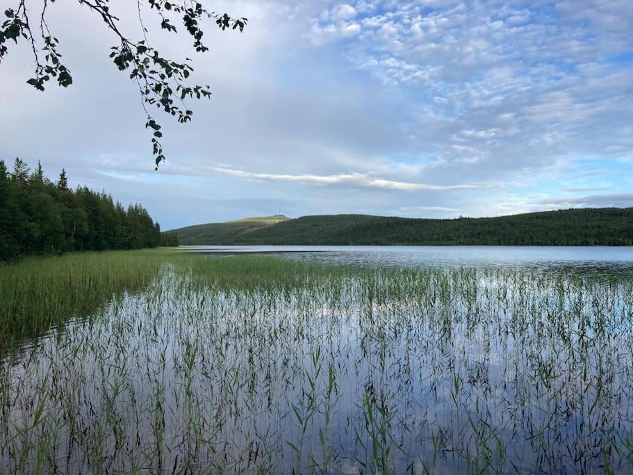 Lakeside Wilderness Cabin 요크모크 외부 사진
