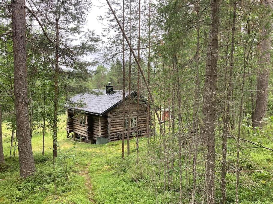 Lakeside Wilderness Cabin 요크모크 외부 사진